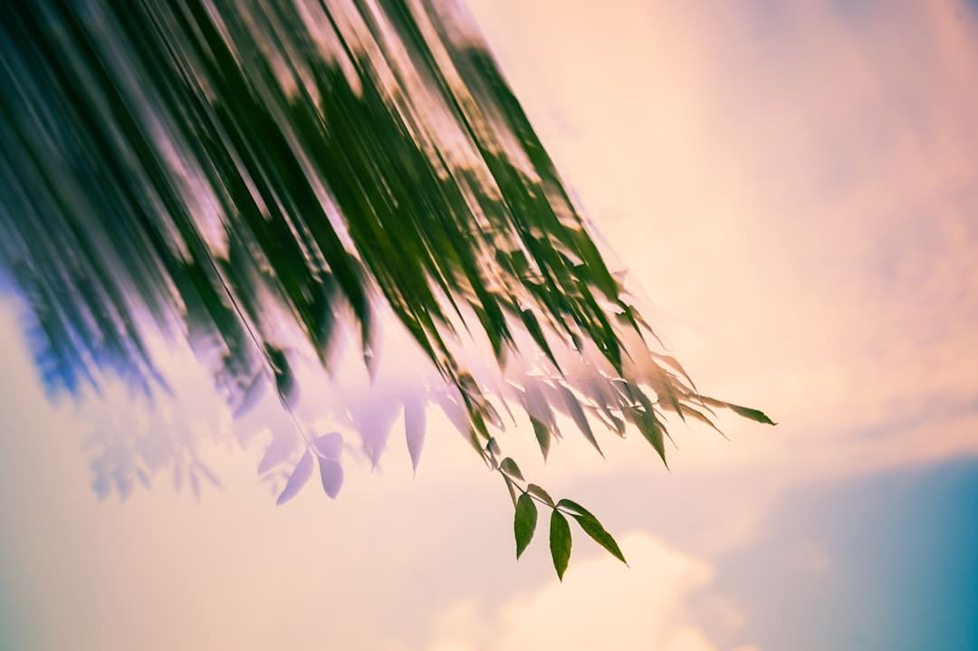 成都车展欧拉以浪漫致初心